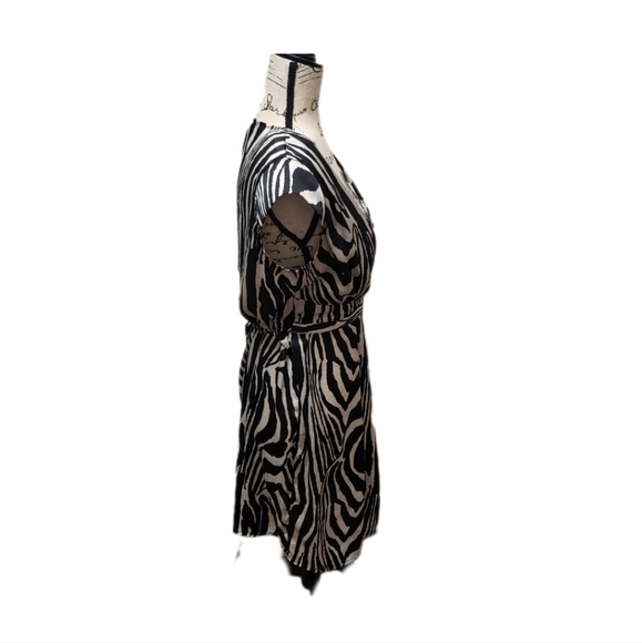 NWOT H&M SILKY DRESS ZEBRA STRIPE FULL ZIP FRONT CLOSURE CAP SLEEVE EMPIRE WAIST - Picture 6 of 7
